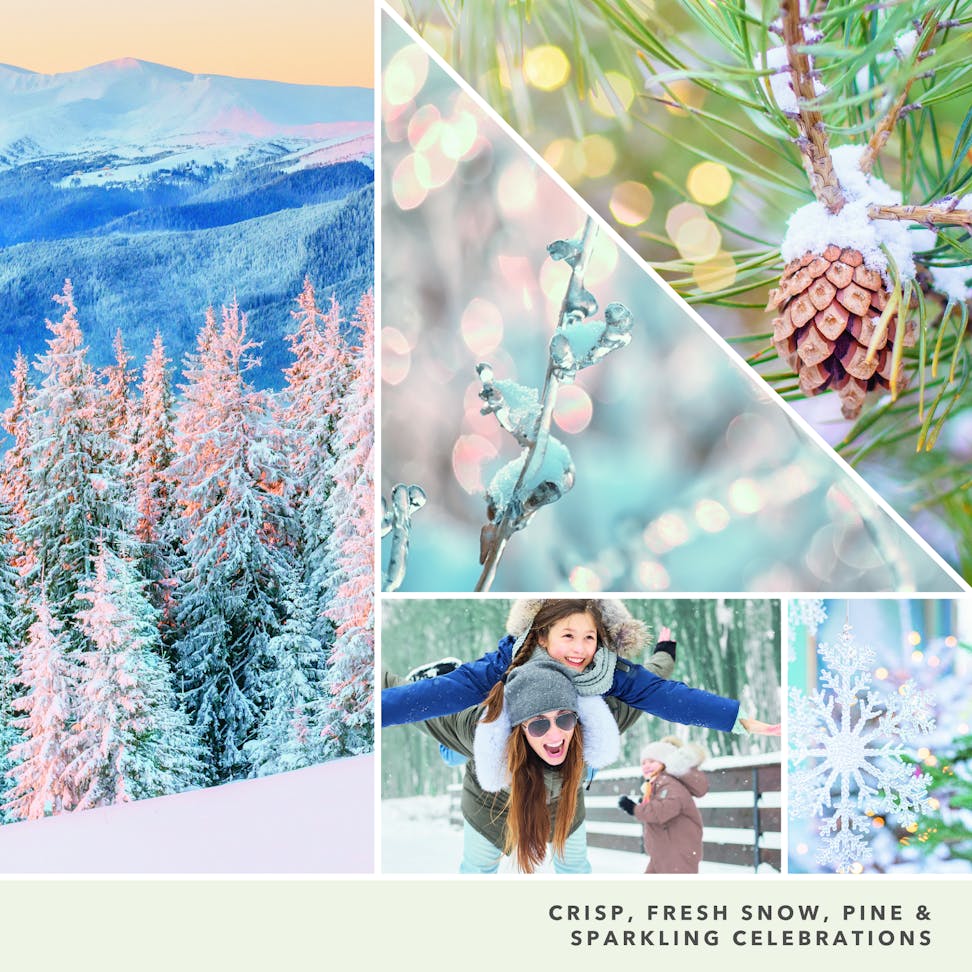 photo collage reading crisp, fresh snow, pine and sparkling celebrations