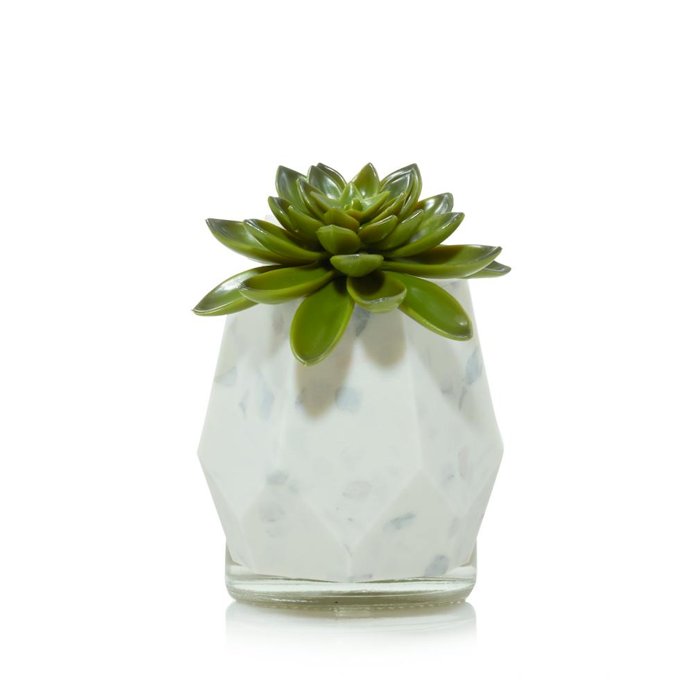 Faceted Succulent ScentPlug® Diffuser w/ Light