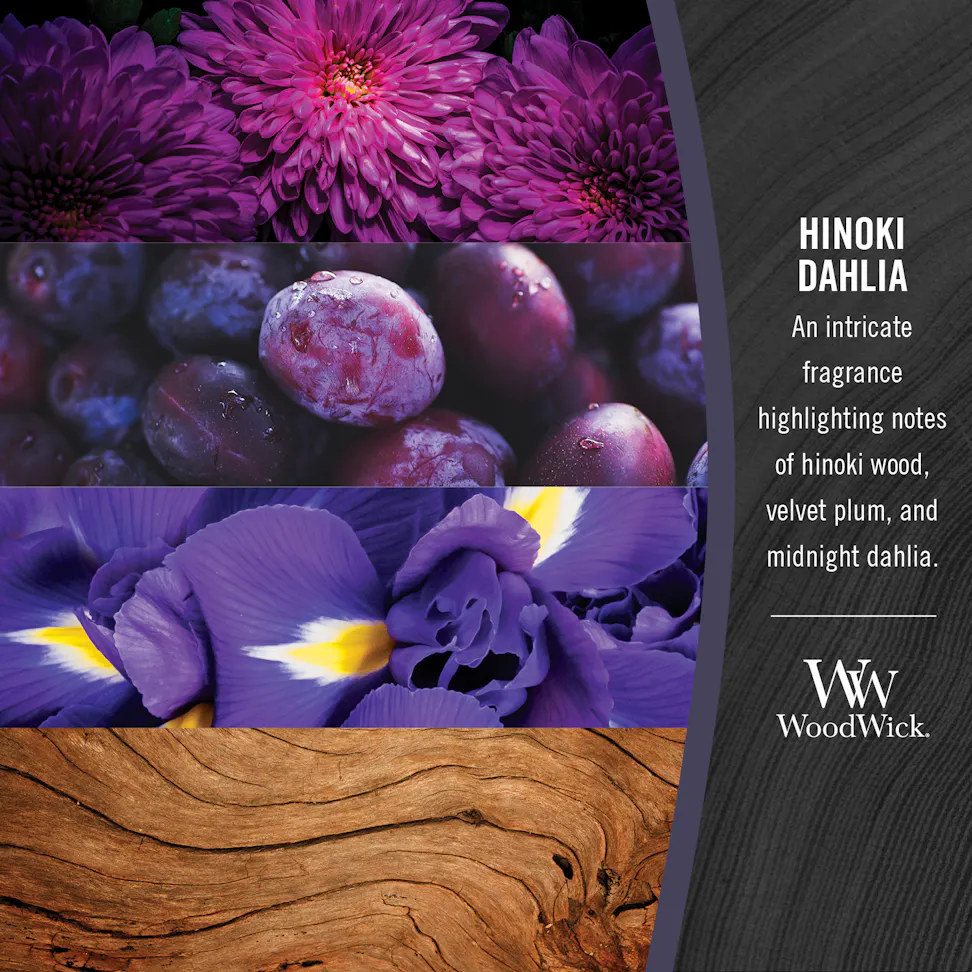 woodwick hinoki dahlia fragrance in 2D featuring a fragrance description with an intricate fragrance highlighting notes of hinoki wood, velvet plum, and midnight dahlia