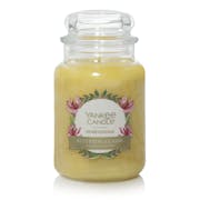 sweet honeysuckle large jar candles
