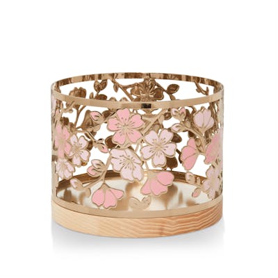 Cherry Blossoms
