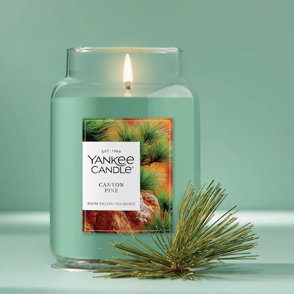 Canyon Pine