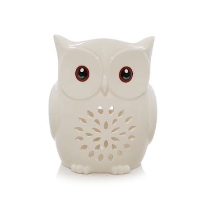 Pierced Owl