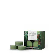 Balsam & Cedar