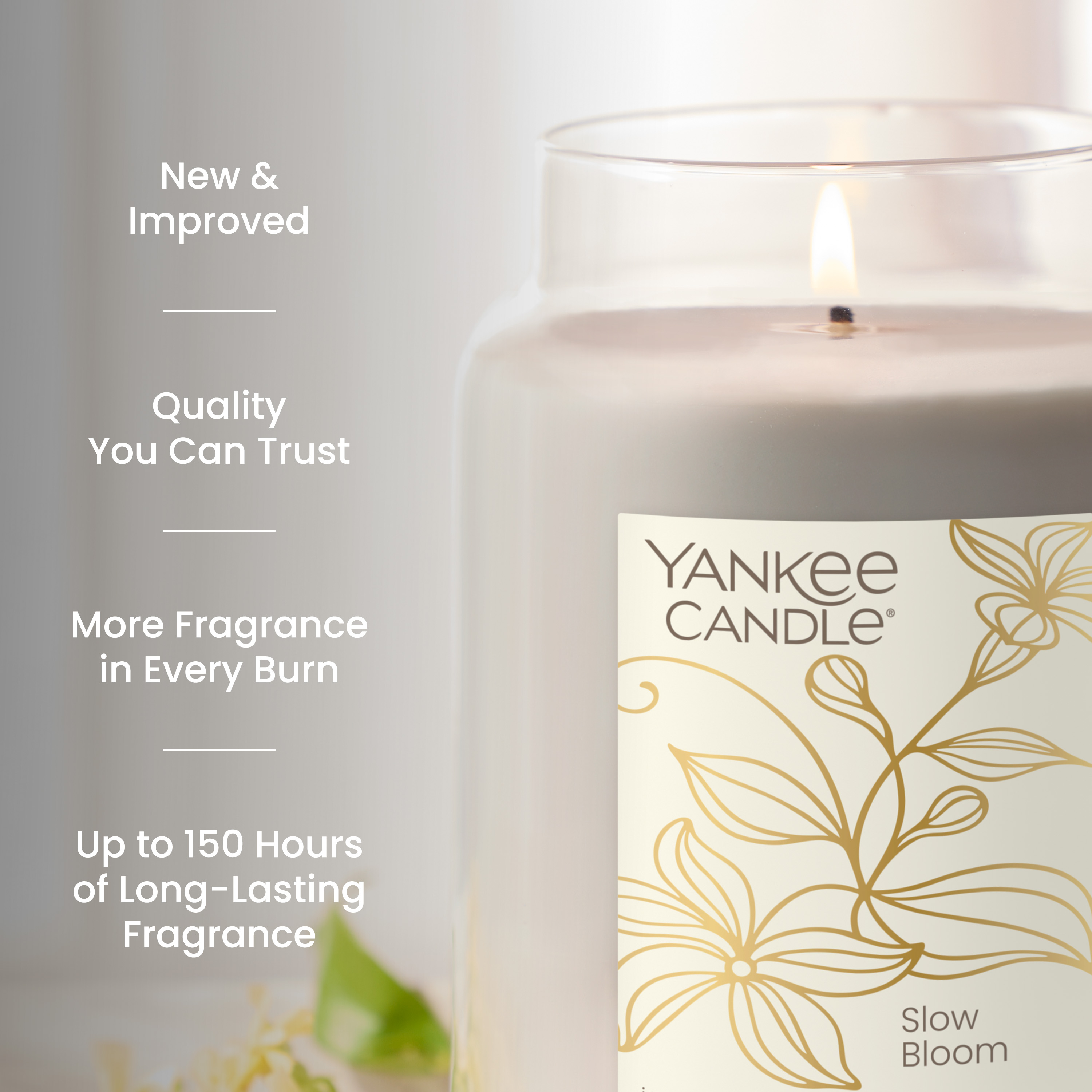 Slow Bloom - Thumbnail 5