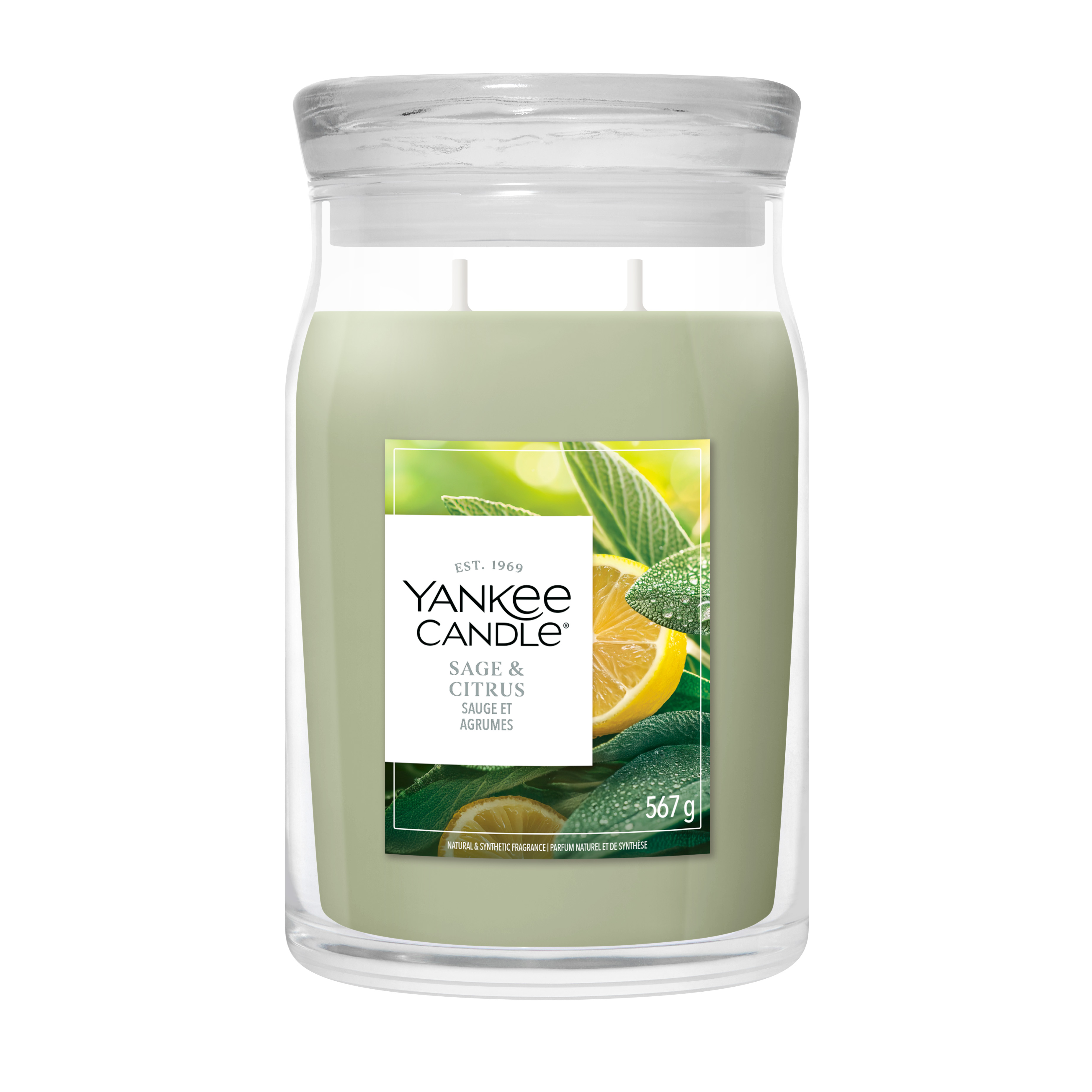 Sage & Citrus Signature Large Jar Candle | Yankee Candle